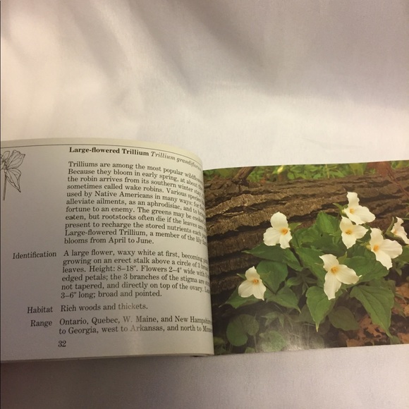 Vintage Natural Audubon Society Book Flower Guide - Picture 3 of 8